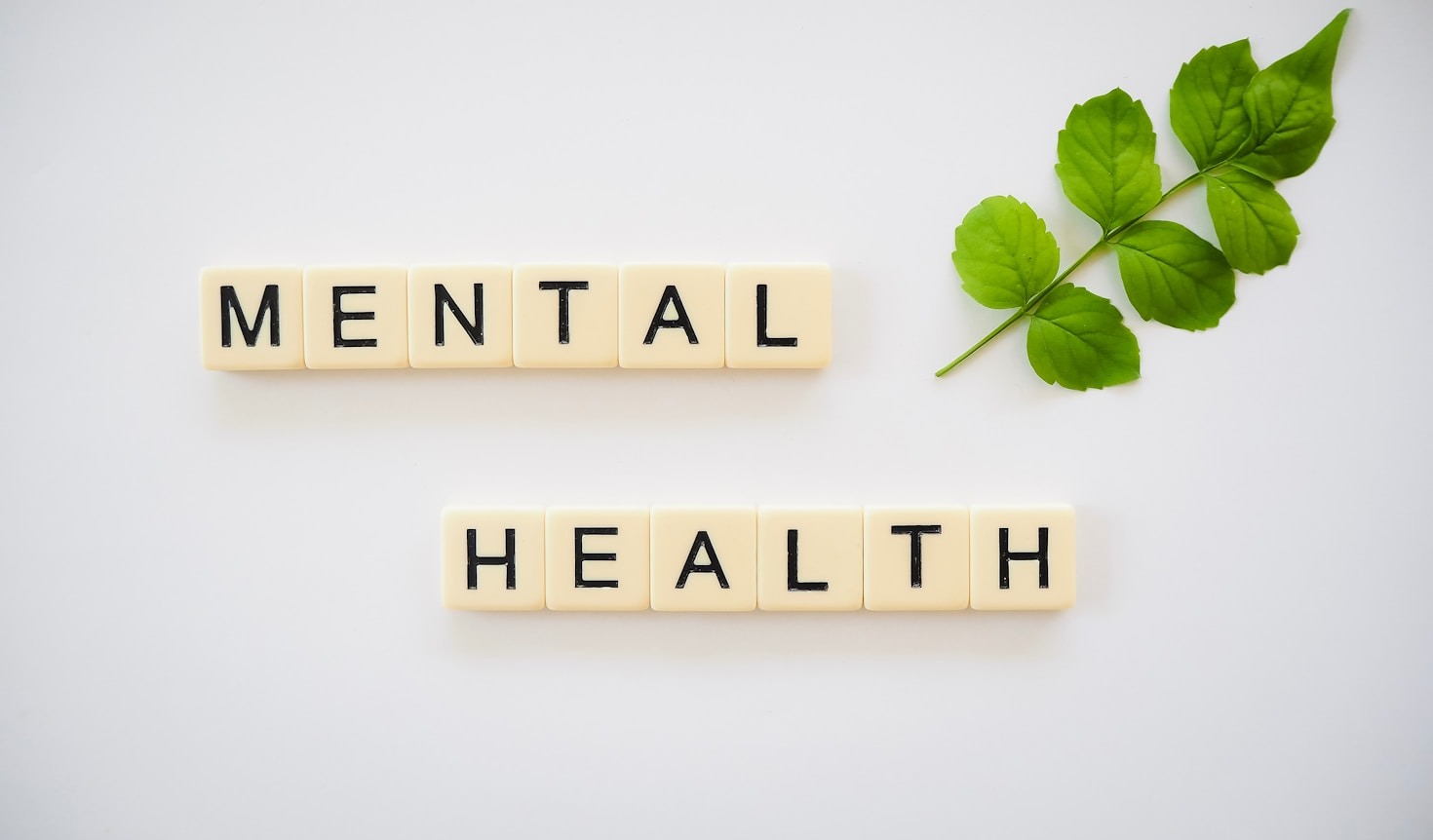 Treinamentos em saúde mental: um investimento necessário